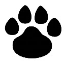 Red Fox Snow Theme  screen for extension Chrome web store in OffiDocs Chromium