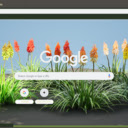 Red Hot Poker  screen for extension Chrome web store in OffiDocs Chromium