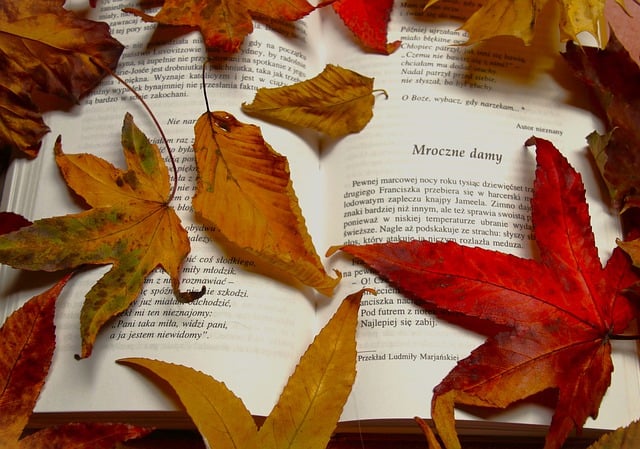 Free download red leaves book text poetry free picture to be edited with GIMP free online image editor