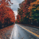 Red maple leaf road  screen for extension Chrome web store in OffiDocs Chromium