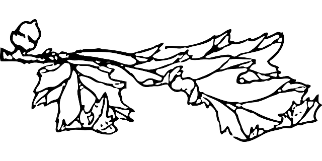 Free download Red Oak Leaves Acorn - Free vector graphic on Pixabay free illustration to be edited with GIMP free online image editor