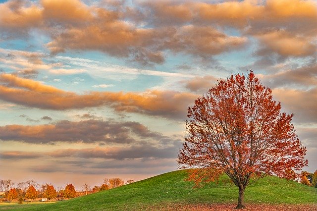 Red Orange Sky 무료 다운로드 - 무료 무료 사진 또는 GIMP 온라인 이미지 편집기로 편집할 수 있는 사진