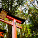 Red Pagoda of a Temple in Kyoto  screen for extension Chrome web store in OffiDocs Chromium