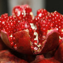 Red pomegranate  screen for extension Chrome web store in OffiDocs Chromium
