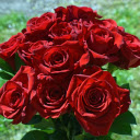 Red roses  screen for extension Chrome web store in OffiDocs Chromium