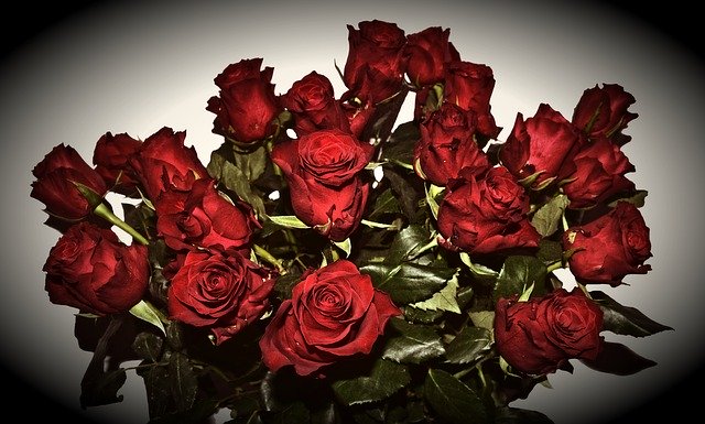 Download gratuito Red Roses Mourning Last Greeting - foto o immagine gratuita da modificare con l'editor di immagini online GIMP