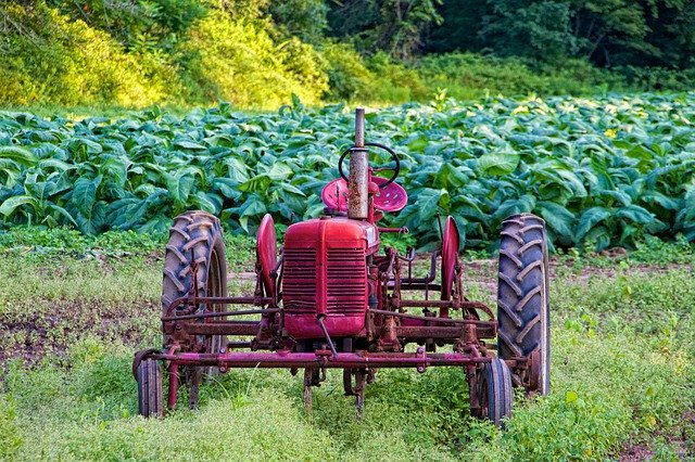 تنزيل Red Tractor Harvest مجانًا - صورة أو صورة مجانية ليتم تحريرها باستخدام محرر الصور عبر الإنترنت GIMP
