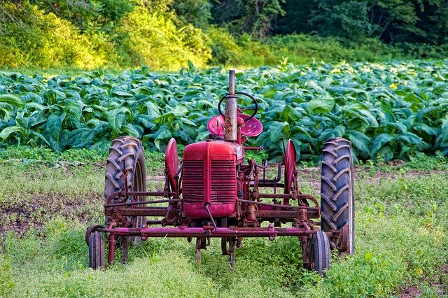 Libreng download Red Tractor Harvest - libreng larawan o larawan na ie-edit gamit ang GIMP online na editor ng imahe