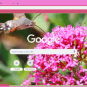 Red Valerian  screen for extension Chrome web store in OffiDocs Chromium