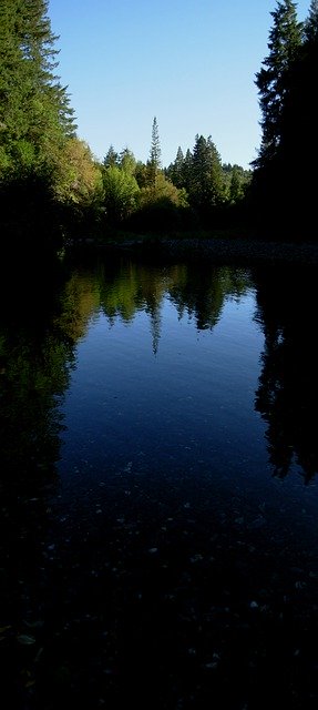 Téléchargement gratuit de Redwood Creek Humboldt - photo ou image gratuite à modifier avec l'éditeur d'images en ligne GIMP