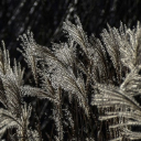 REEDS THEME  screen for extension Chrome web store in OffiDocs Chromium