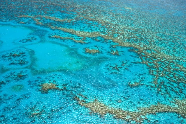 Free download reef coral coastline atoll lagoon free picture to be edited with GIMP free online image editor