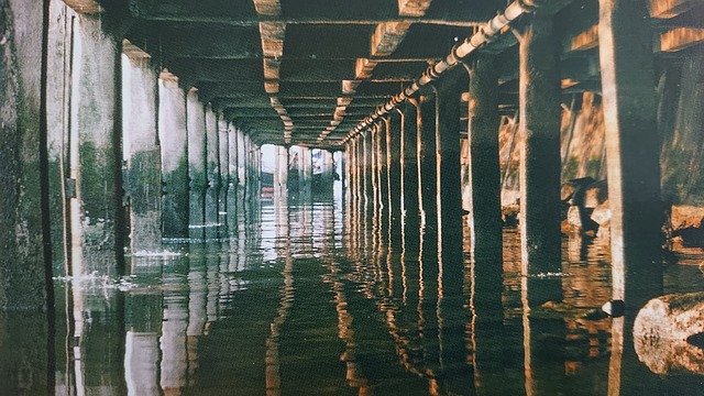 Free download Reflections Water Bpos -  free photo or picture to be edited with GIMP online image editor