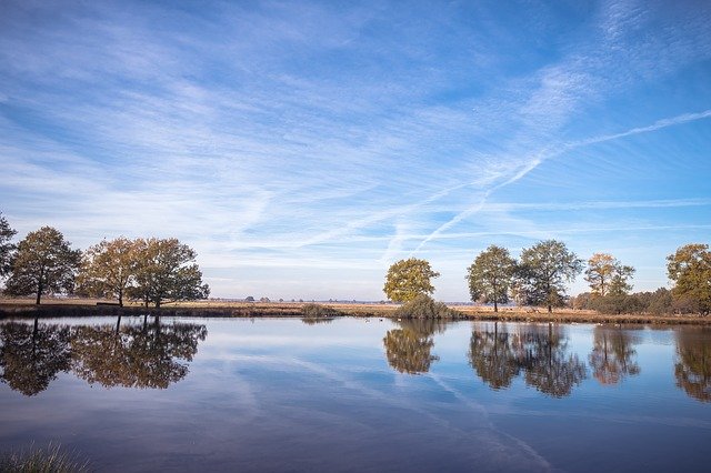 Download grátis Reflection Trees Sky - foto ou imagem gratuita para ser editada com o editor de imagens online GIMP