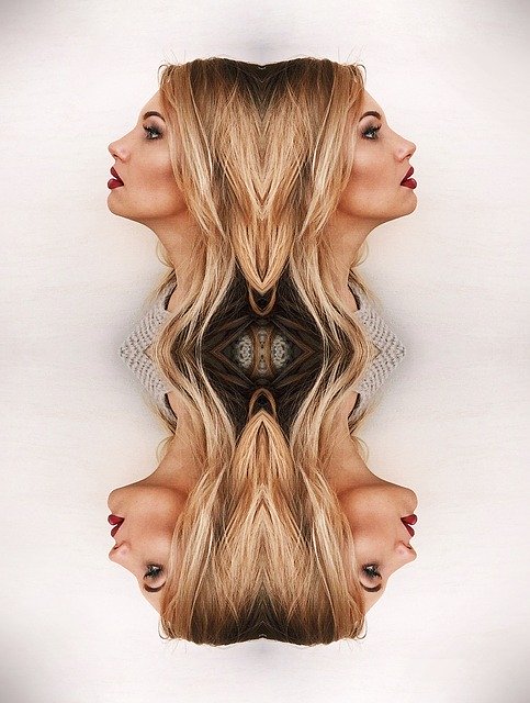 Free download Reflection Woman Profile -  free illustration to be edited with GIMP free online image editor