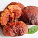 Reishi Mushroom Theme  screen for extension Chrome web store in OffiDocs Chromium