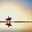 Reiter Horse Water  screen for extension Chrome web store in OffiDocs Chromium