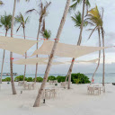 Relaxing under the coconut trees  screen for extension Chrome web store in OffiDocs Chromium