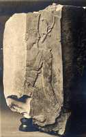 Free download Relief fragment of Nebhepetre Mentuhotep free photo or picture to be edited with GIMP online image editor