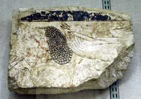 Free download Relief fragment showing an offering table free photo or picture to be edited with GIMP online image editor
