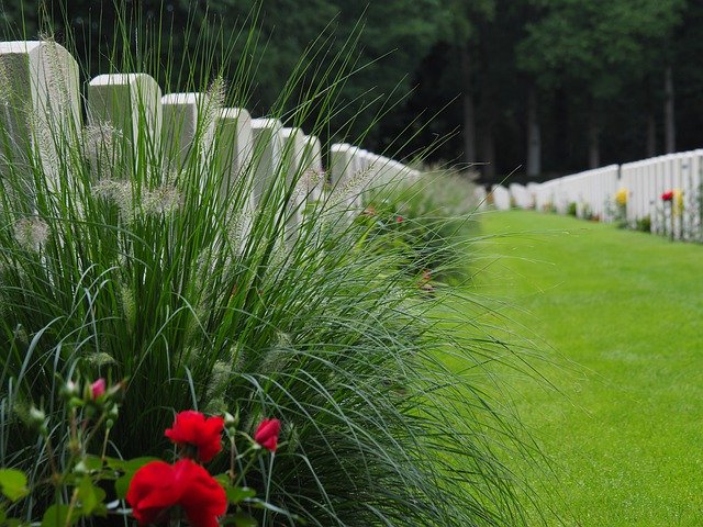 Kostenloser Download Remembrance Day Park Cemetery - kostenloses kostenloses Foto oder Bild zur Bearbeitung mit GIMP Online-Bildbearbeitung