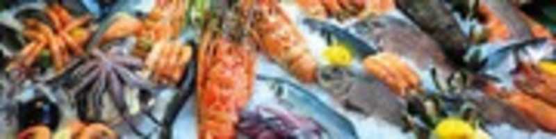 Free download Remesis: Seafood Exporters Australia free photo or picture to be edited with GIMP online image editor
