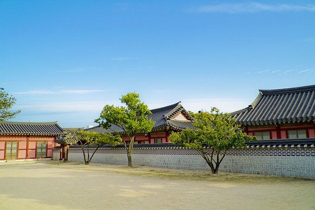 Free download Republic Of Korea Pine -  free photo or picture to be edited with GIMP online image editor