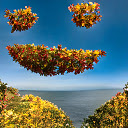 RequestIsolation  screen for extension Chrome web store in OffiDocs Chromium