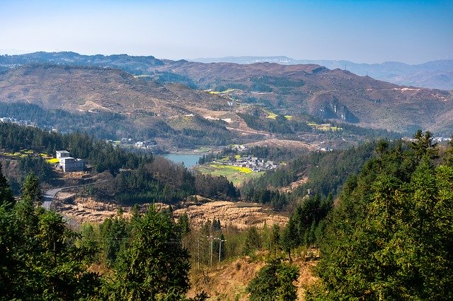 Muat turun percuma Reservoir Tree Woods - foto atau gambar percuma untuk diedit dengan editor imej dalam talian GIMP