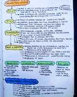 Free download Resumos Mapamental Byhy 6b 1 HIkc free photo or picture to be edited with GIMP online image editor