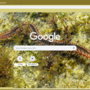 Ret Bien  screen for extension Chrome web store in OffiDocs Chromium