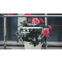 Retro Roses  screen for extension Chrome web store in OffiDocs Chromium