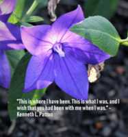 Free download Retrospect free photo or picture to be edited with GIMP online image editor