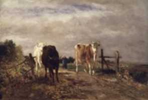 Free download Returning Herd free photo or picture to be edited with GIMP online image editor