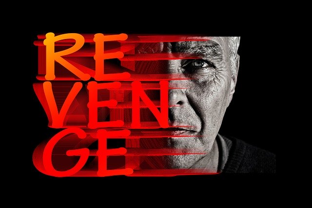 Free download Revenge Face View -  free illustration to be edited with GIMP free online image editor