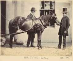 Free download Reverend L. C. Cure and His Pony free photo or picture to be edited with GIMP online image editor