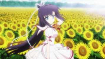 Free download Rewrite 5 free photo or picture to be edited with GIMP online image editor