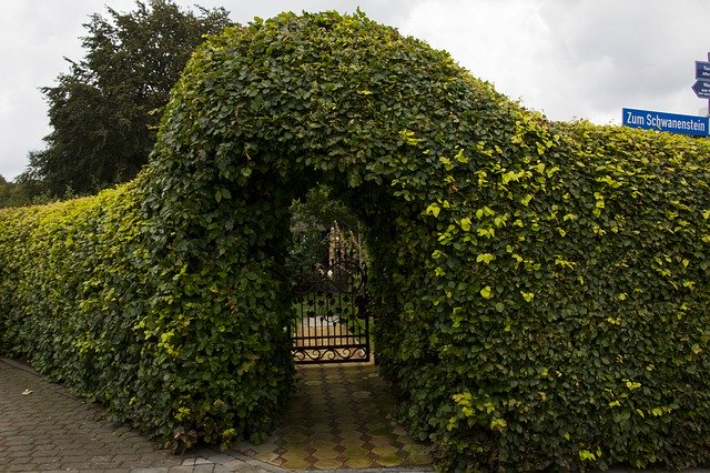 Free download Rügen Garden Gate Plant -  free photo or picture to be edited with GIMP online image editor