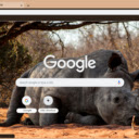 Rhino  screen for extension Chrome web store in OffiDocs Chromium