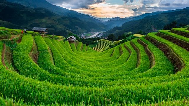 Free download rice terraces rice paddies free picture to be edited with GIMP free online image editor