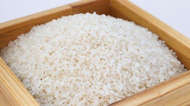 김프 무료 온라인 이미지 편집기로 편집할 쌀 백미 한국 음식 무료 사진 무료 다운로드