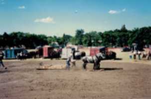 Free download Rick Byrne - Rosthern Heavy Horse Pull free photo or picture to be edited with GIMP online image editor