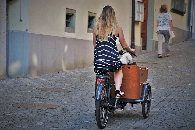 Free download rickshaw bike horse hair young free picture to be edited with GIMP free online image editor