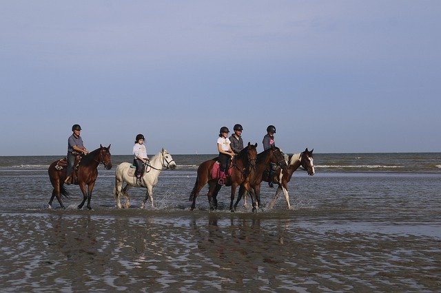 ດາວໂຫລດຟຣີ Riders Horses Ride - ຮູບພາບຫຼືຮູບພາບທີ່ບໍ່ເສຍຄ່າເພື່ອແກ້ໄຂດ້ວຍບັນນາທິການຮູບພາບອອນໄລນ໌ GIMP