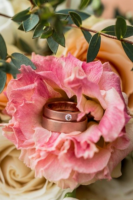 Free download Ring Wedding Jewelry -  free photo or picture to be edited with GIMP online image editor