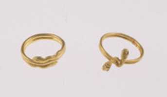 Free download Ring with snakes head terminals free photo or picture to be edited with GIMP online image editor