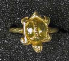 Free download Ring with Turtle free photo or picture to be edited with GIMP online image editor