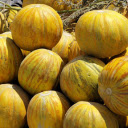 Ripe cantaloupes  screen for extension Chrome web store in OffiDocs Chromium