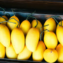 Ripe Golden Mangoes  screen for extension Chrome web store in OffiDocs Chromium