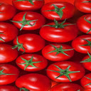 Ripe red tomatoes Wallpaper  screen for extension Chrome web store in OffiDocs Chromium